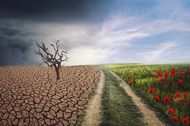 Combating climate change