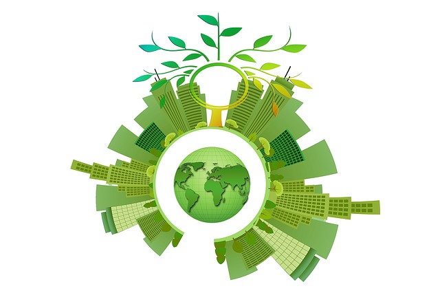 sustainability with solar