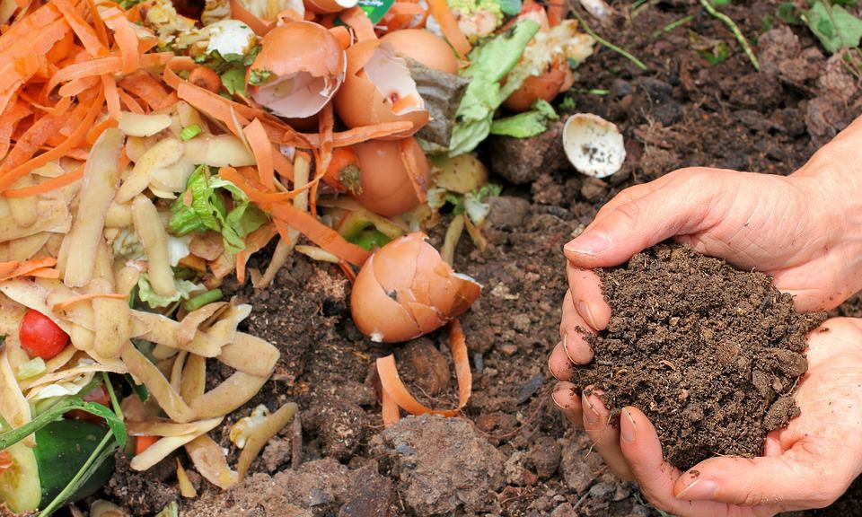 Pros and cons of composting