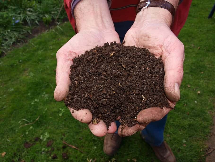 Composting toilet waste