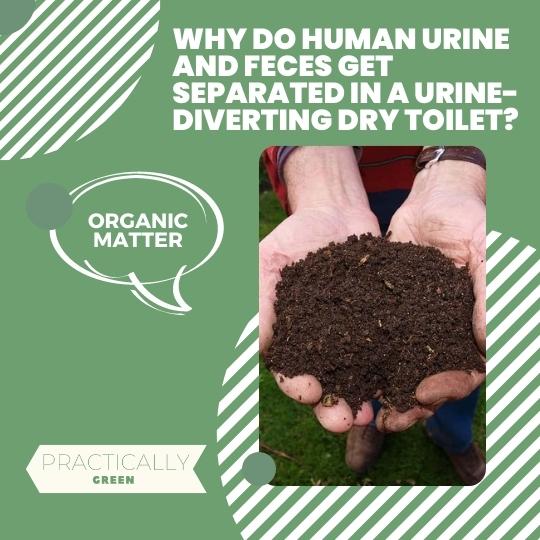 Organic Matter