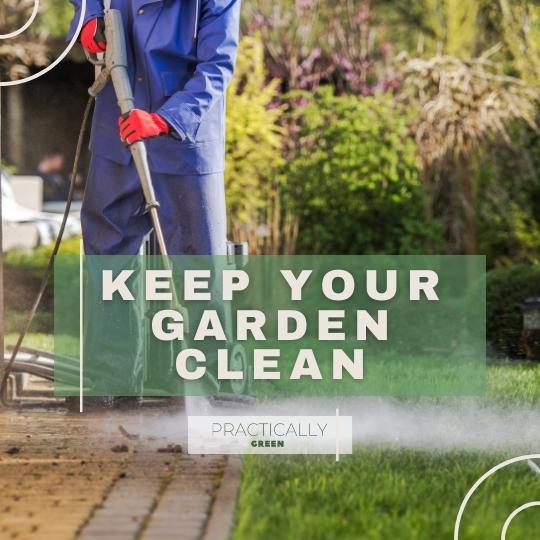 keep your garden clean