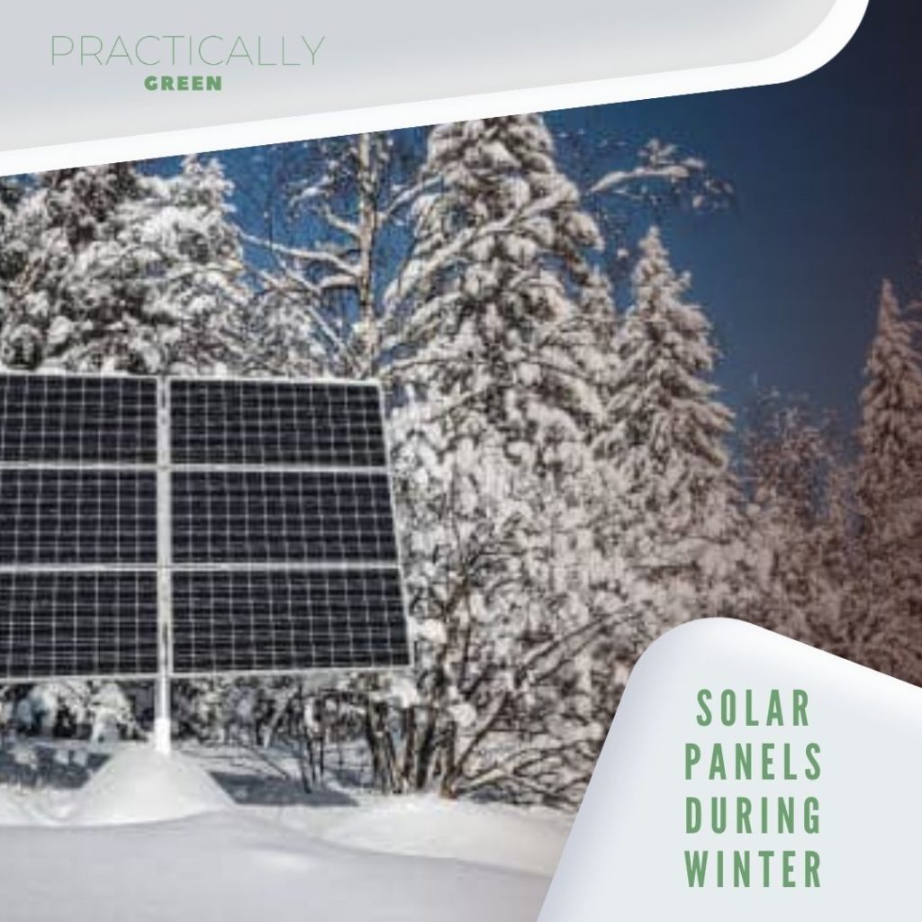 Solar panel with snowy forest on a clear winter day
