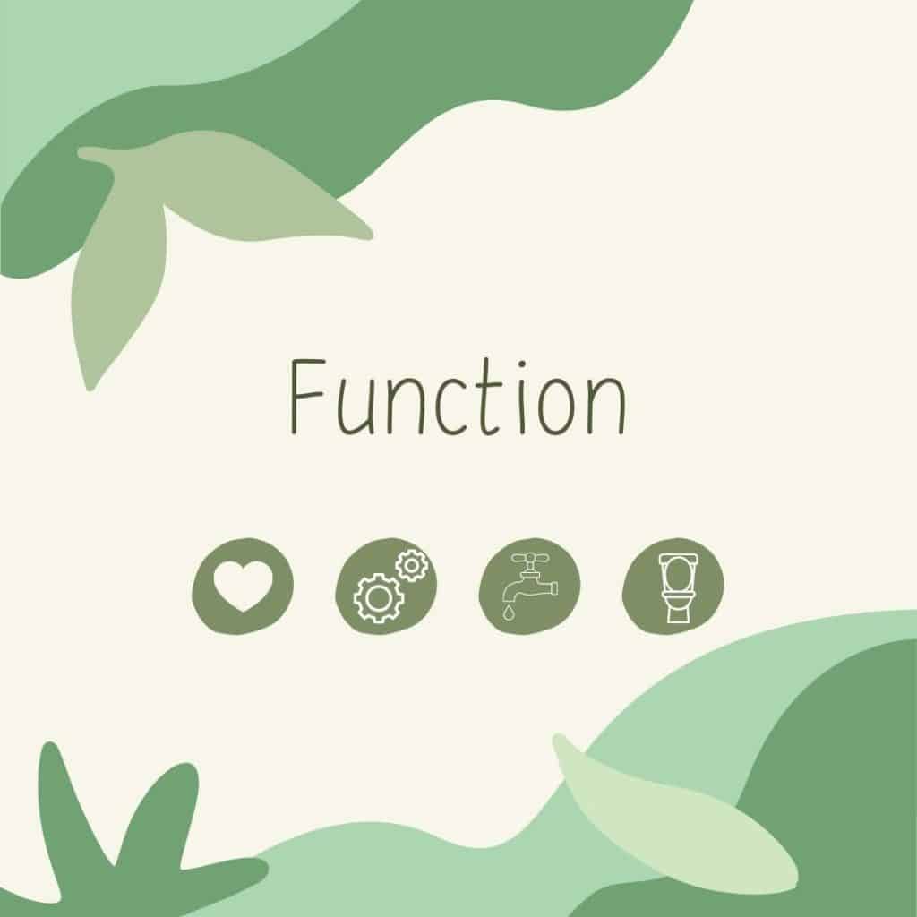 Function