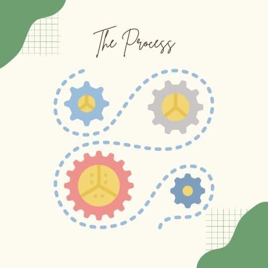 The Process